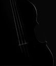 Violin black and white artistic conversion rim lighting Royalty Free Stock Photo