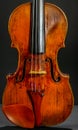 Violin Body historic musical instrument