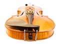 Violin from bottom view