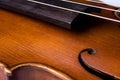 Violin bout and strings