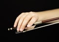 Violin bow Royalty Free Stock Photo