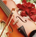 Ambience shot of a violin and red roses Royalty Free Stock Photo