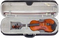 Violin in the box cutout Royalty Free Stock Photo