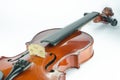 The violin bridge closeup