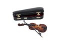 Violin with Case Royalty Free Stock Photo