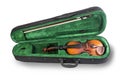 Violin in the case of green Royalty Free Stock Photo