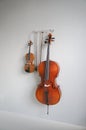 Violin and cello with bows hang on grey gradient wall