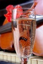 Violin and champagne. violin and piano. after the concert.