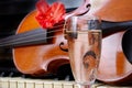 Violin and champagne. violin and piano. after the concert. Royalty Free Stock Photo