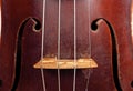 Violin Royalty Free Stock Photo