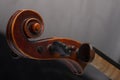 Violin close up isolated on black background Royalty Free Stock Photo