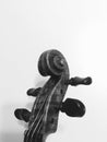 Violin curl detail