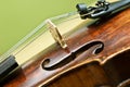 Violin detail Royalty Free Stock Photo