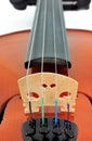 Violin detail Royalty Free Stock Photo