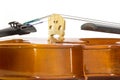 Violin Royalty Free Stock Photo