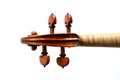 Violin detail on white background Royalty Free Stock Photo