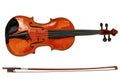Violin detailed sketch, colored. VECTOR illustration