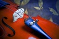 Violin details Royalty Free Stock Photo