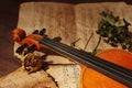 Violin, dried flowers and old notes on wooden background closeup Royalty Free Stock Photo