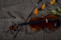 Violin, fiddlestick and bowtie, canvas background Royalty Free Stock Photo