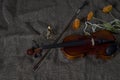 Violin, fiddlestick and bowtie, canvas background Royalty Free Stock Photo