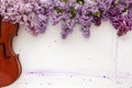 Violin and flowers of lilac on a white wooden background. Stringed musical instrument