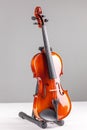 Violin front view isolated on gray Royalty Free Stock Photo