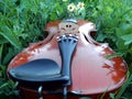 Violin in the grass in summer