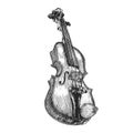 Violin, hand drawn illustration in engraving style Royalty Free Stock Photo