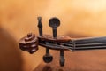 Violin instrument handle with strings and tuning pegs under warm light Royalty Free Stock Photo