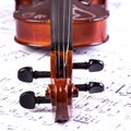 Violin head Royalty Free Stock Photo