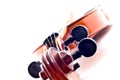 Violin head Royalty Free Stock Photo