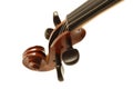 Violin head Royalty Free Stock Photo