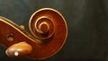 Violin Head From The Concert Violin Royalty Free Stock Photo