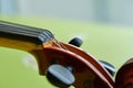 Violin head on green background Royalty Free Stock Photo