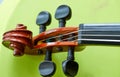 Violin head on green background