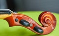 Violin head on green background