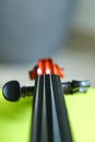 Violin head on green background Royalty Free Stock Photo