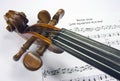 Violin head with sheet music Royalty Free Stock Photo