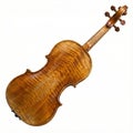 Violin Instrument Back And Scroll Royalty Free Stock Photo