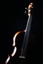 Violin isolated on black