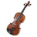 A violin isolated Royalty Free Stock Photo