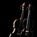 Violin isolated. Duet of two violins Royalty Free Stock Photo