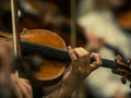 Violin in a large close-up - side view - Background - Symphony orchestra rehearsal - Wallpaper Royalty Free Stock Photo