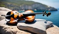the violin lies on a stone against the backdrop of the azure sea with a white sailboat, the concept of classical music,