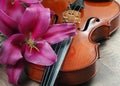 Violin and lily flowers on a wooden Royalty Free Stock Photo