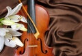 Violin and lily on a silk background. Royalty Free Stock Photo