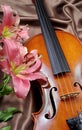 Violin and lily on a silk background Royalty Free Stock Photo