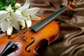Violin and lily on a silk background. Royalty Free Stock Photo