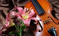 Violin and lily on a silk background. Royalty Free Stock Photo